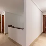 La Arena Zierbena
